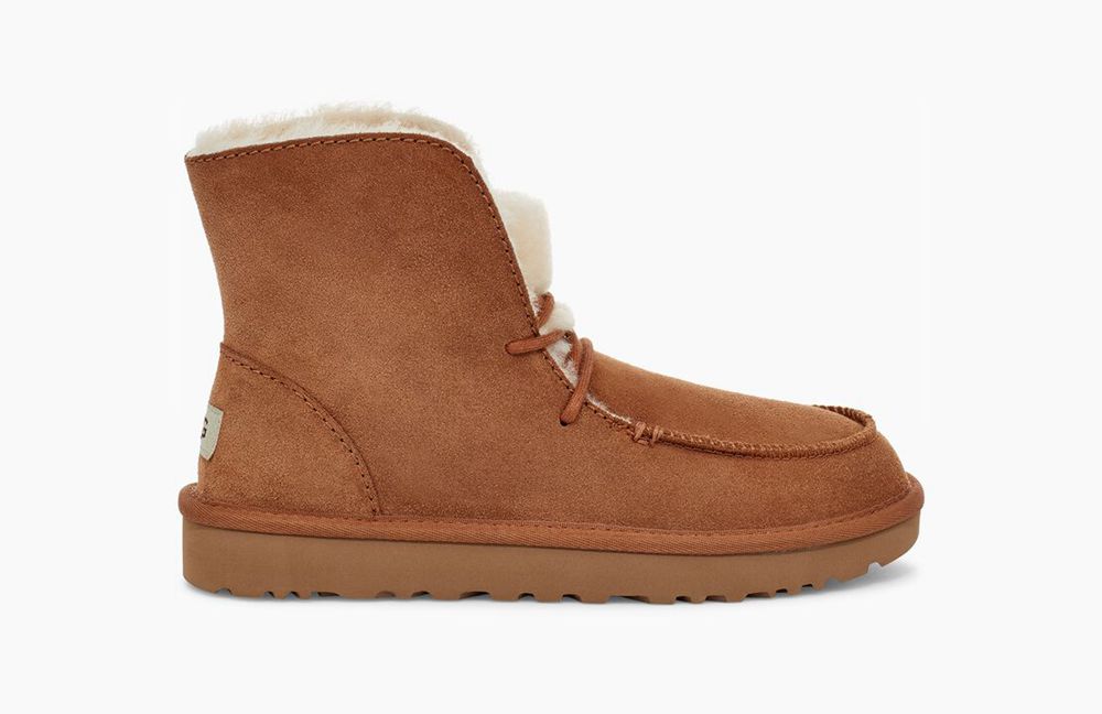 Ugg Chukka Boot Womens - Ugg Diara Brown - 475CRNOJY